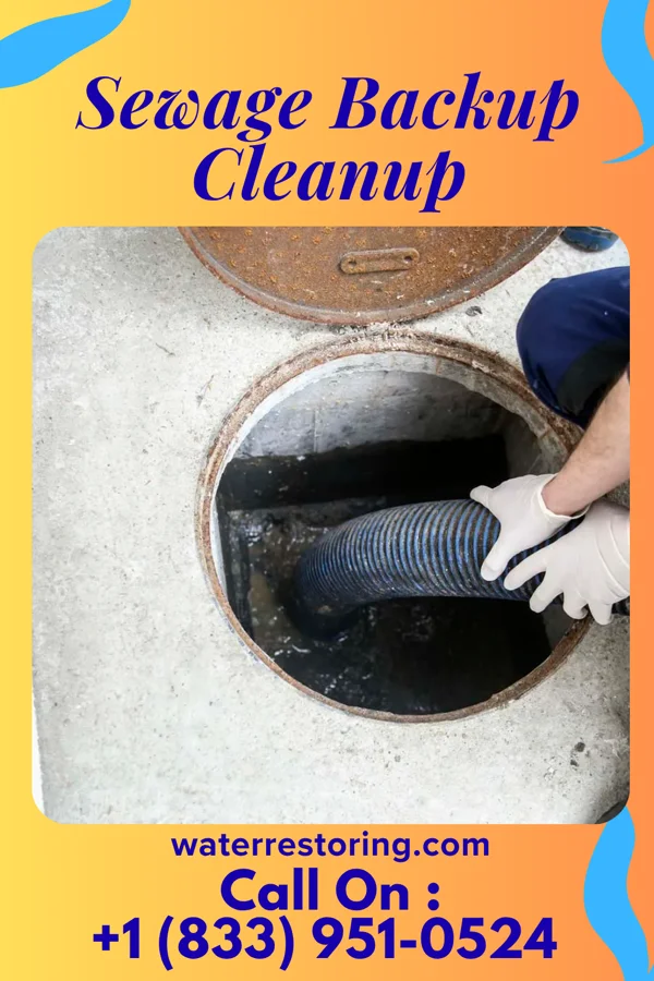 Sewage Backup Cleanup in Cloverdale, IN